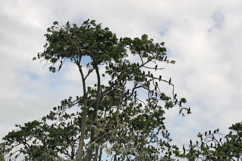 Mexico & Guatemala 2010 - 0923